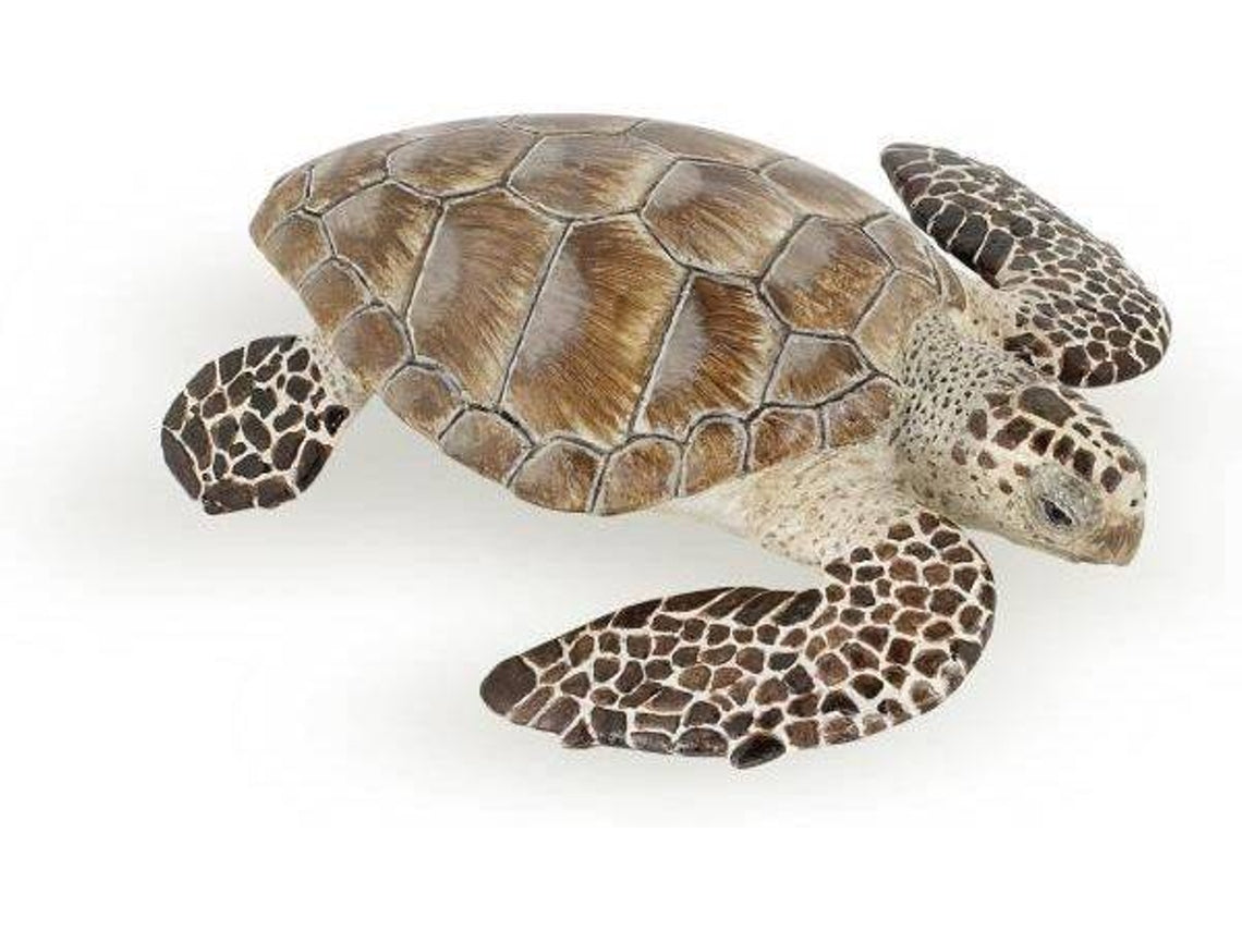 TARTARUGA DO MAR- 56005