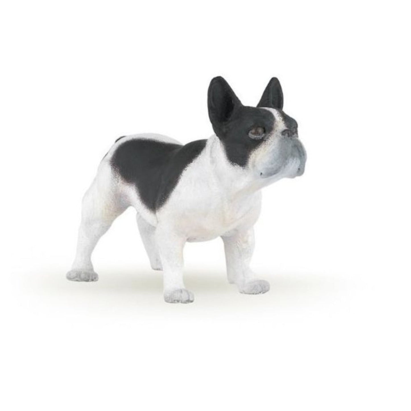 BULDOGUE FRANCÊS - 54006