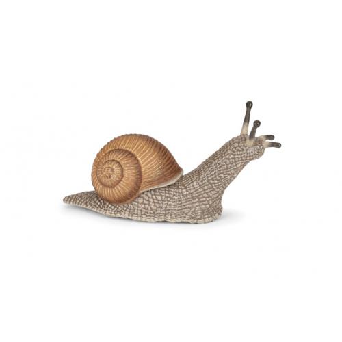 CARACOL