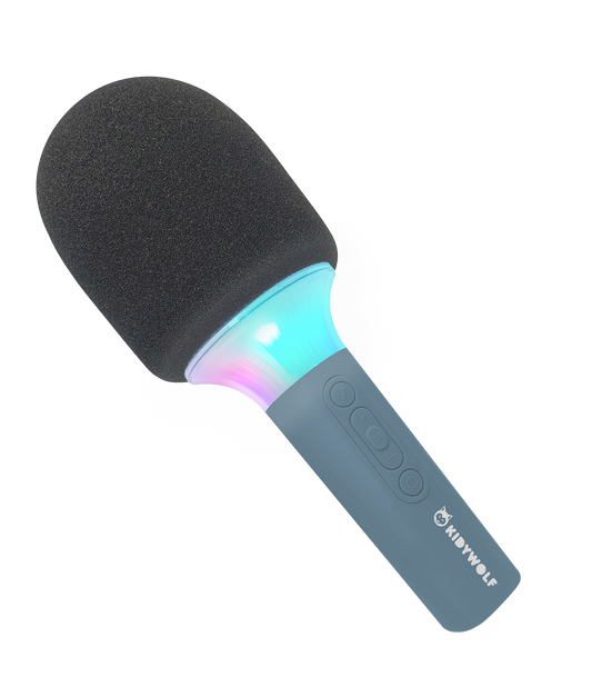 MICROFONE DE KARAOKE: AZUL