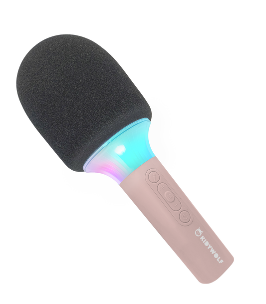 MICROFONE DE KARAOKE: ROSA