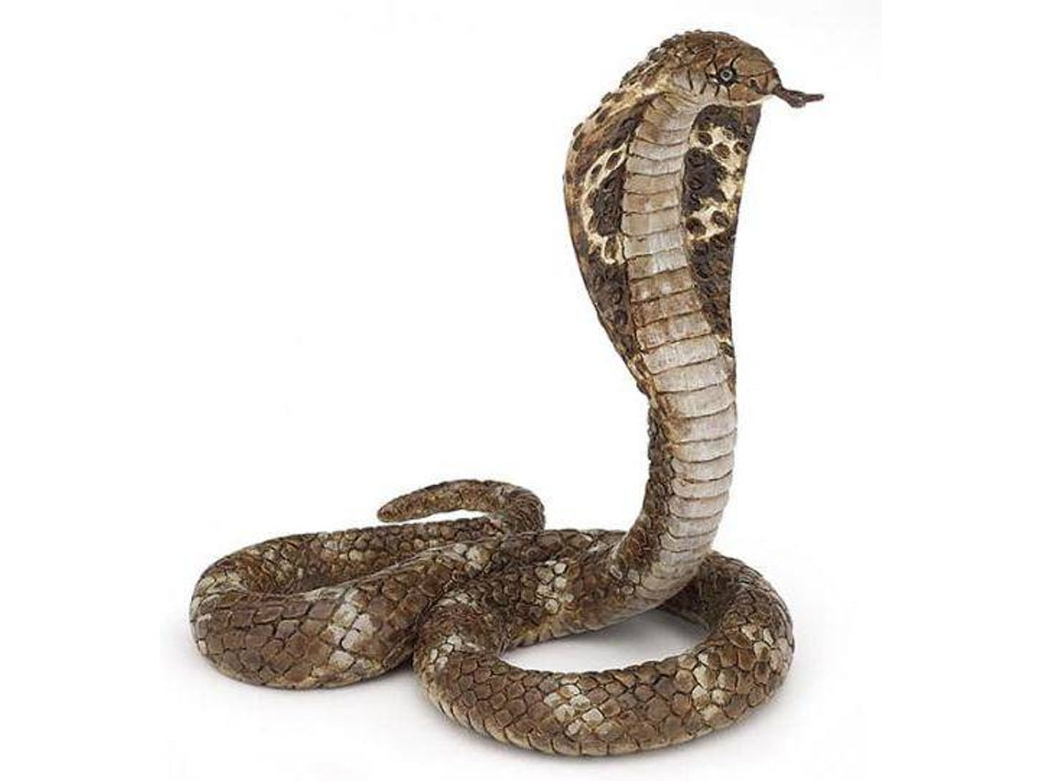 COBRA REAL - 50164