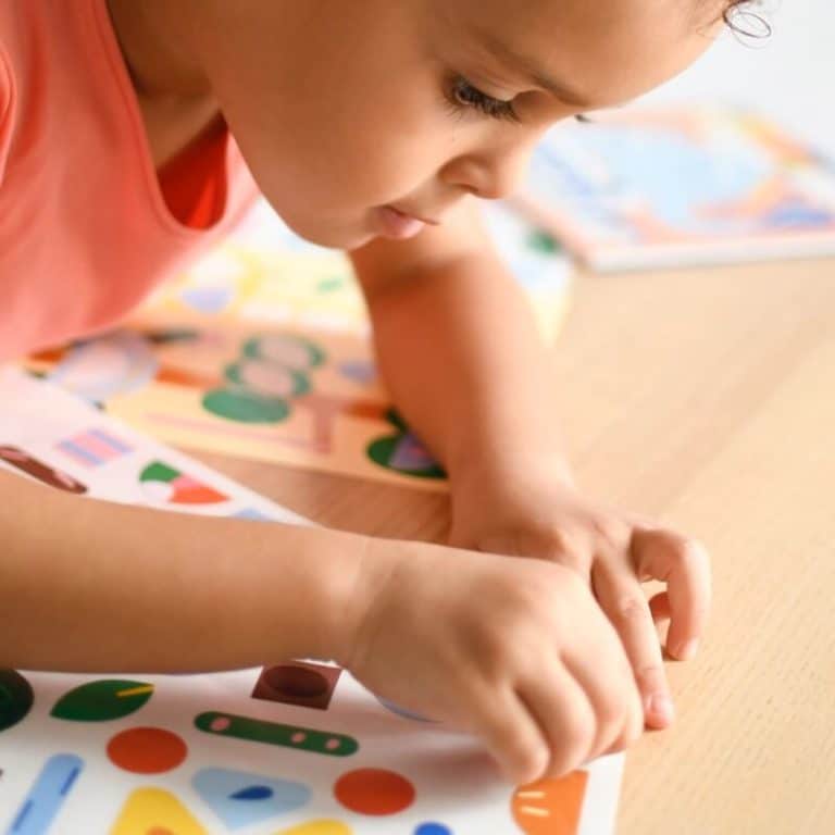 6 CARTÕES & 96 AUTOCOLANTES: ANIMAIS