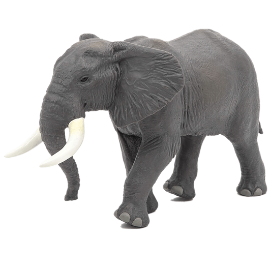 ELEFANTE AFRICANO - 50192