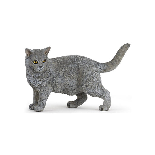 GATO CHARTREUX - 54040