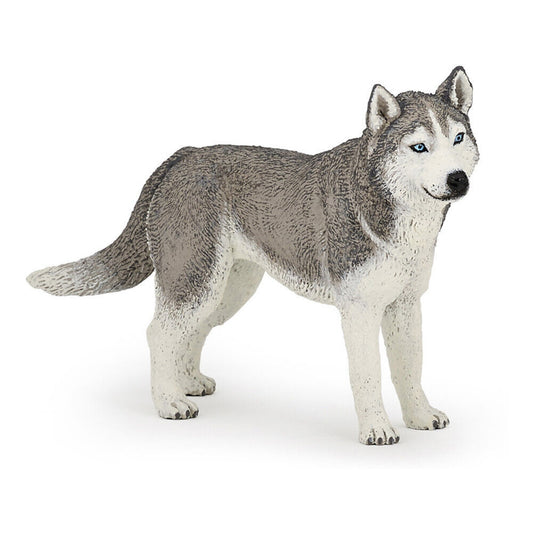 HUSKY SIBERIANO - 54035