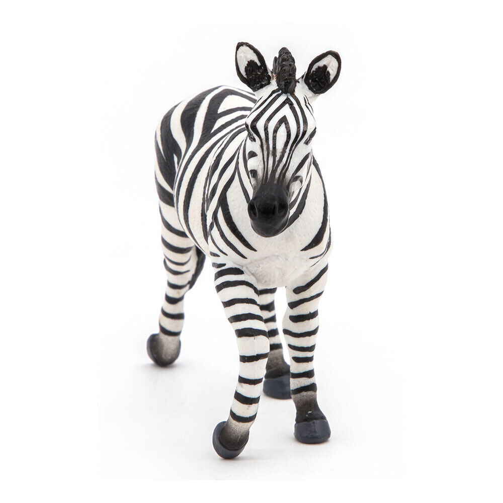 ZEBRA MACHO - 50249