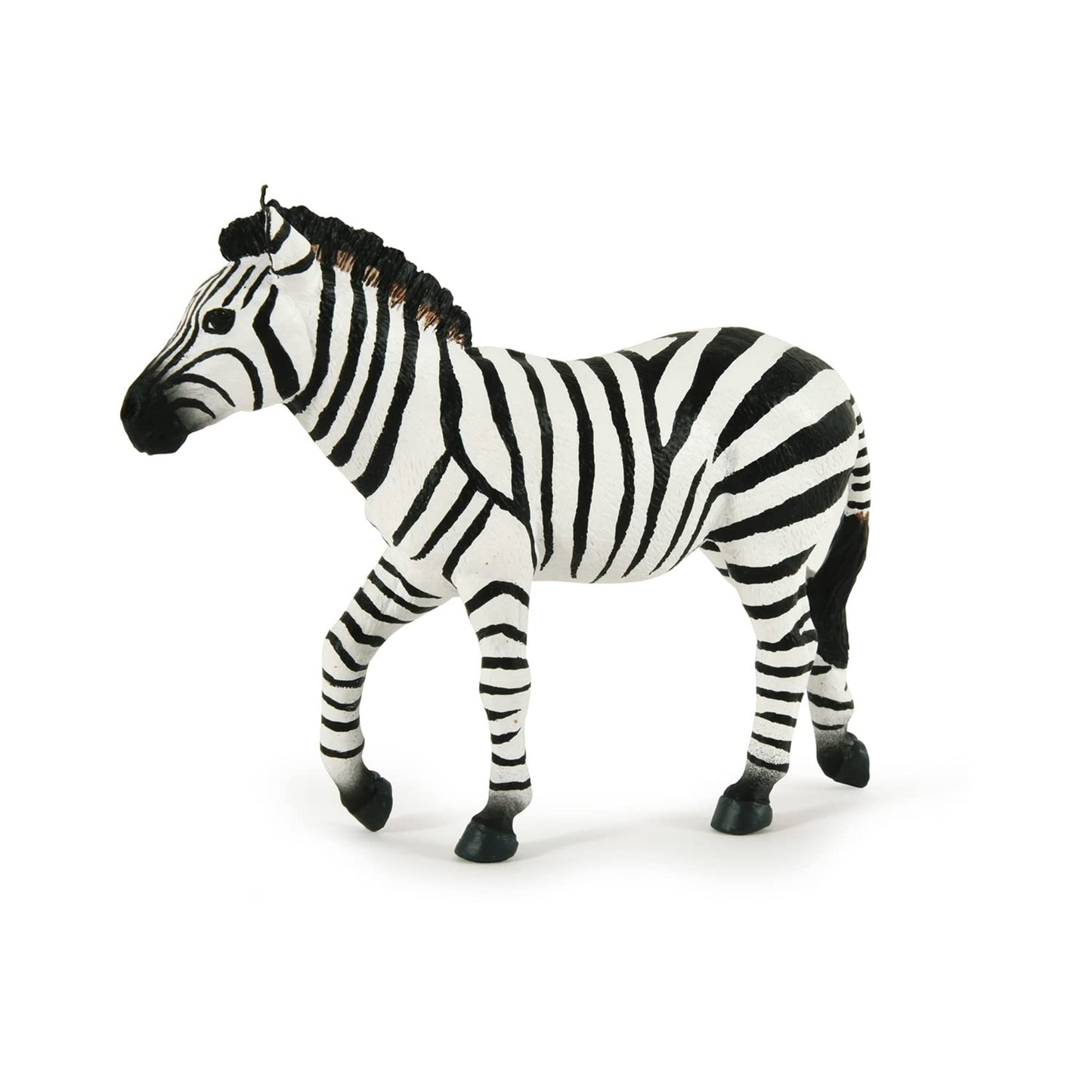 ZEBRA MACHO - 50249